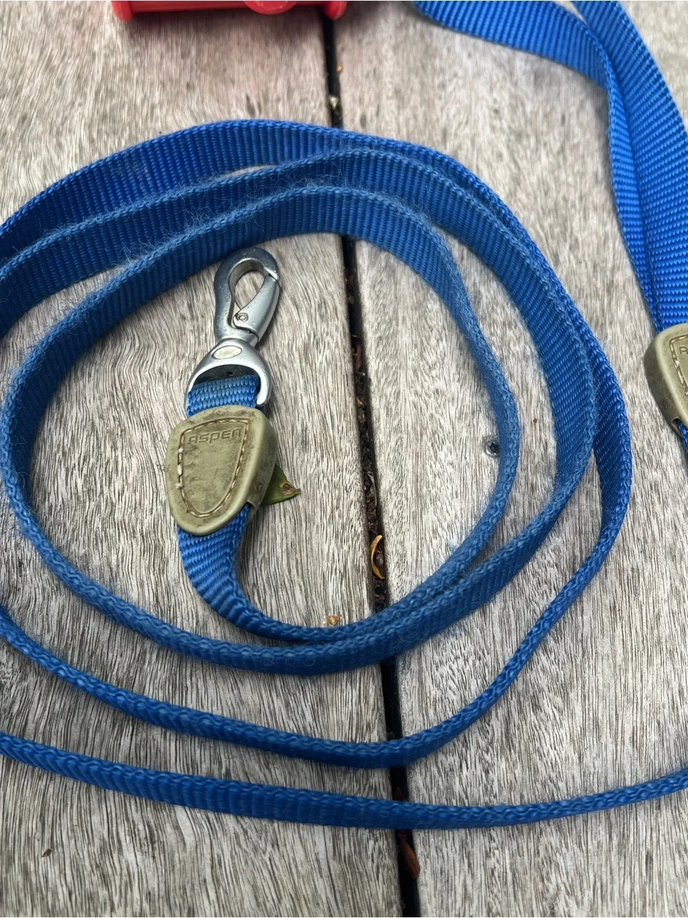 Aspen Pet Blue 69
